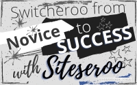 From Novice To Success - Connect With Siteseroo